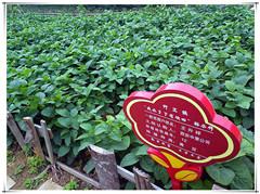 鸿运国际·(中国)首页入口-鸿运hv官网欢迎您