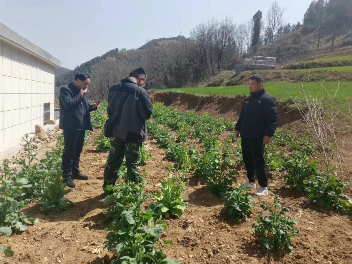 鸿运国际·(中国)首页入口-鸿运hv官网欢迎您