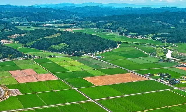 鸿运国际·(中国)首页入口-鸿运hv官网欢迎您
